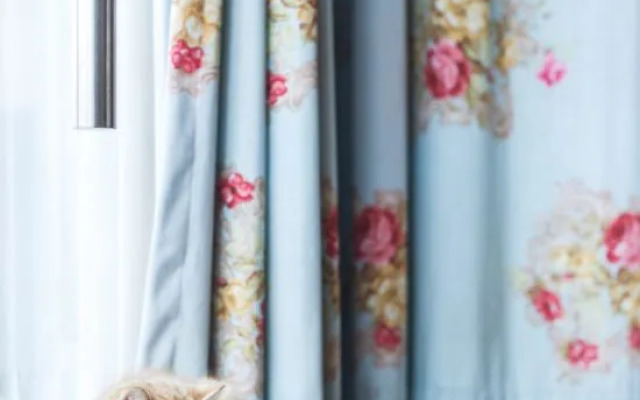 Xinmu Lanlian Boutique Hotel