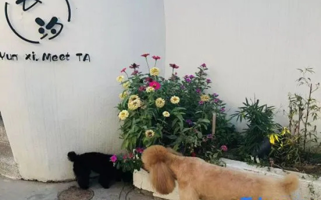 Yunxi meets ta”, a holiday hostel in Beijing