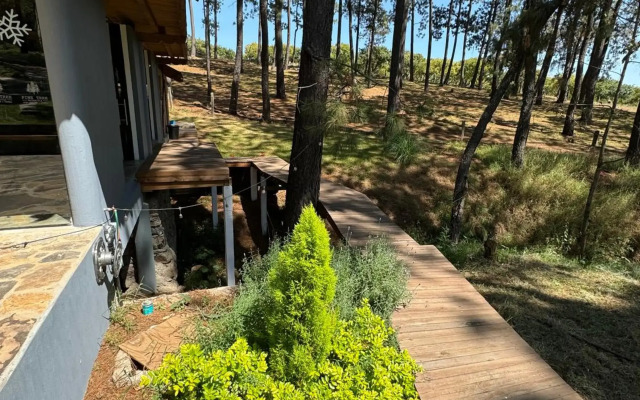 PINE TREE Hotel Boutique & Cabañas