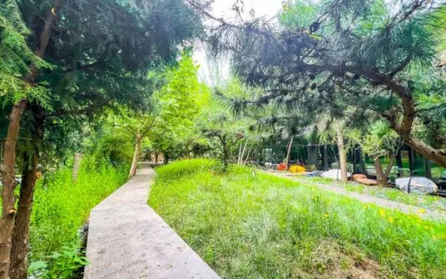 Wanshenggu ART Homestay, Beijing