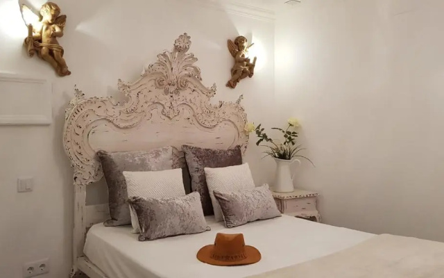 Charming Apartment II Historical Center