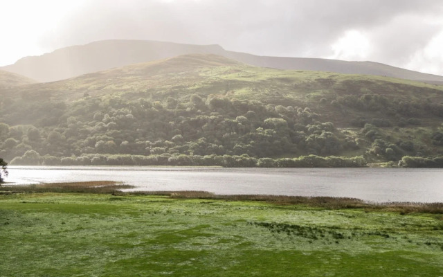 Wenallt
