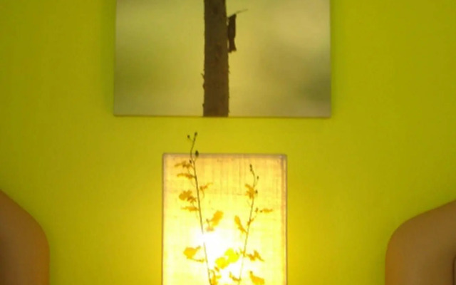 The Nest Serviced Apartment
