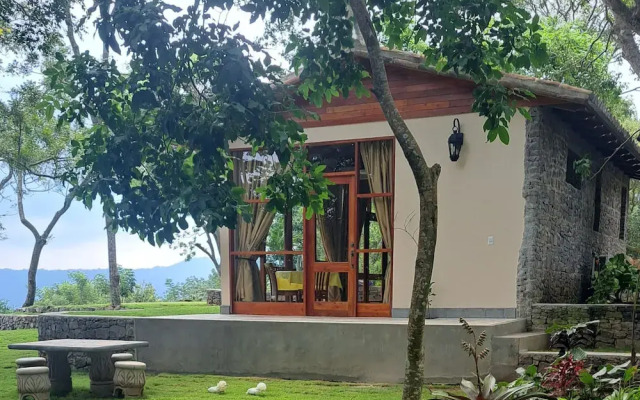 El Guayacán