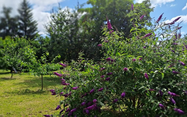 Plitzner Belvárosi Apartmanház