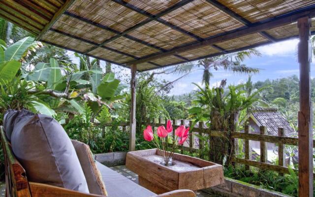 Nienté Bali