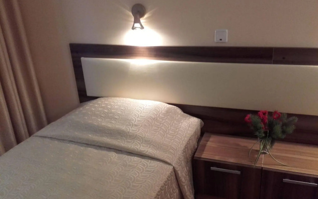 Hotel Bor