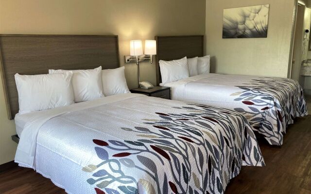 Red Roof Inn Petersburg - Fort Lee