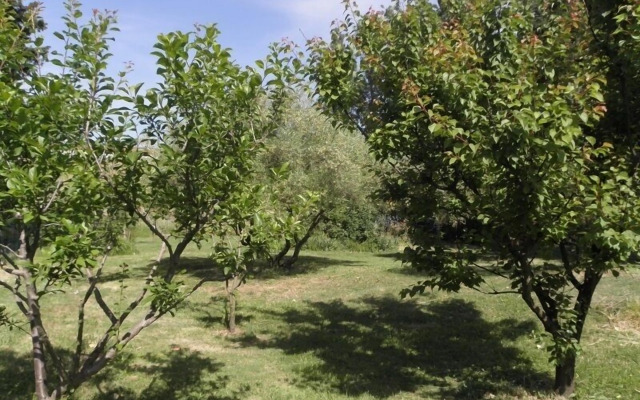 Provence Roulottes Hébergement insolite