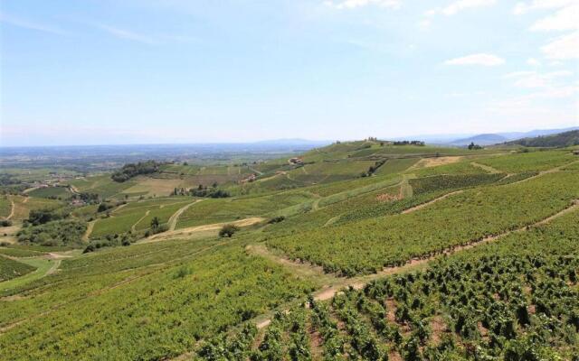 Tiny house au cœur du vignoble beaujolais