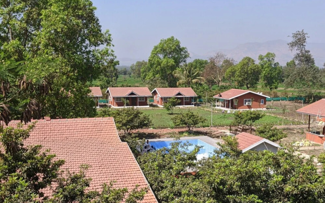 Mango Tree Farm
