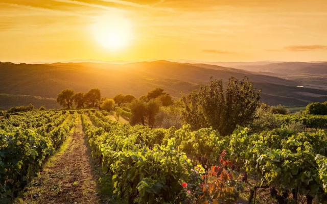 Giob Studio In The Centre