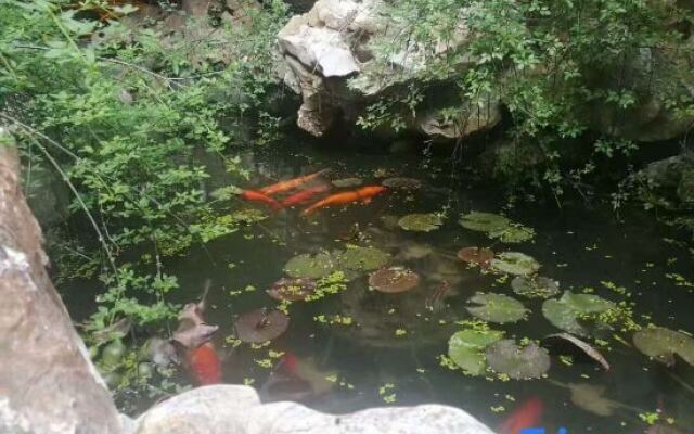 Xitang Yunlaiji Riverside Art Hotel (Xitang Guzhen Store)