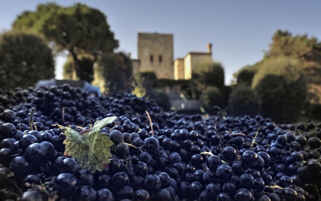 Agriturismo La Montecchia