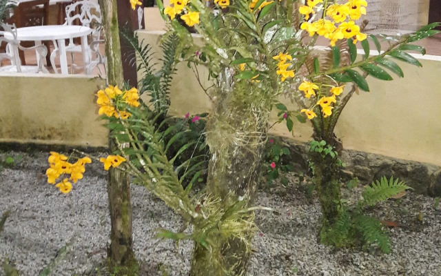 Pousada Recanto dos Tangaras