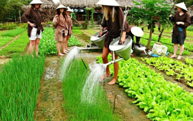 La Gai Homestay Hoi An
