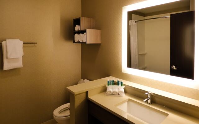 Holiday Inn Express Plymouth-ann Arbor