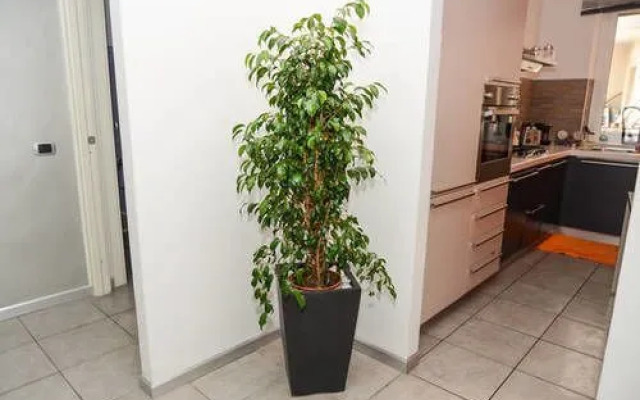 A Casa di Ale Pretty -R-Home