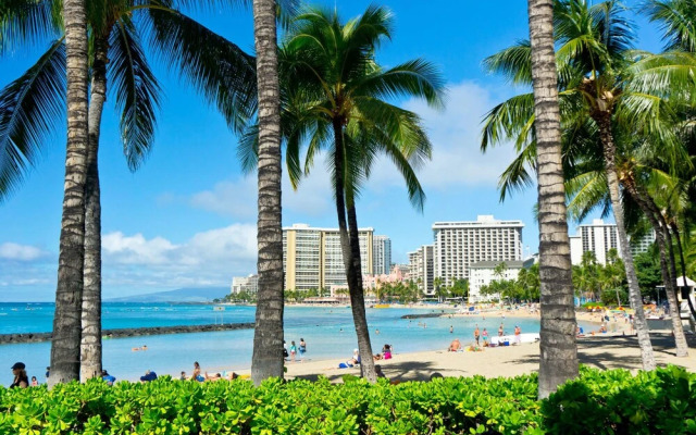 Waikiki Banyan - Ocean View Tower 2 Suite 2904