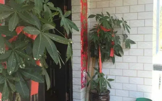 Ningguo Orchard Villa