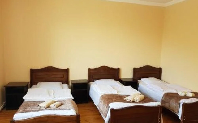 Tsitsia and Stepan Guest House