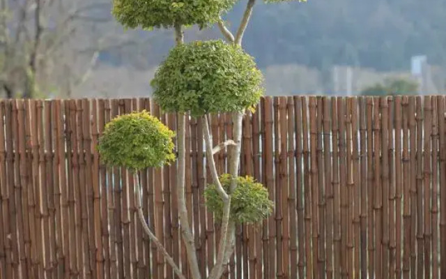 SEEYOO Ceramic Art House
