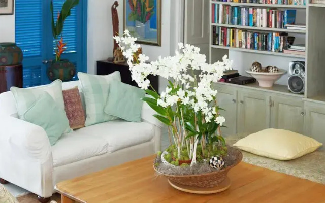 Lime Tree Villa