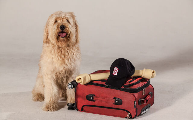 Red Roof Inn Mystic - New London