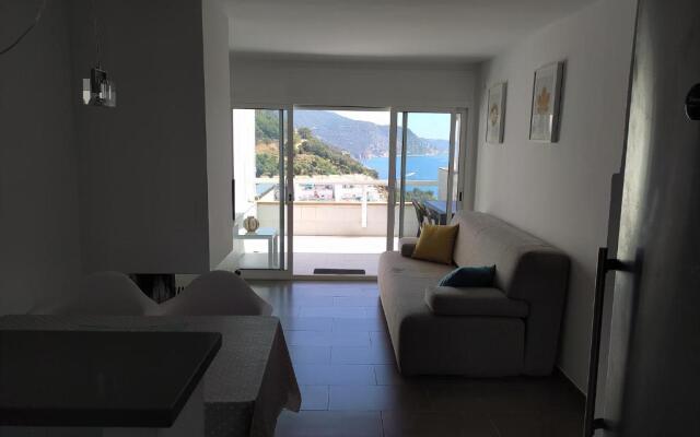 Cala Salions, Chalana III