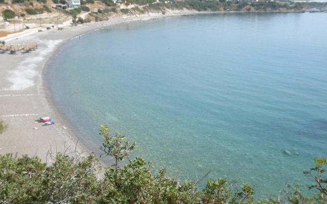 Avra Palm