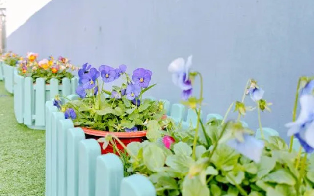 Shanghai First Heart Encounter Homestay