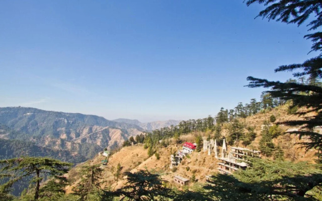 The Bodhi Tree B&B