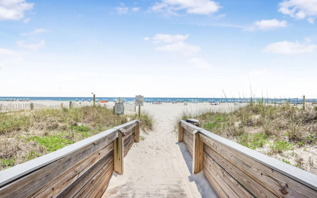 Palms 915- Premier Beachfront Condo