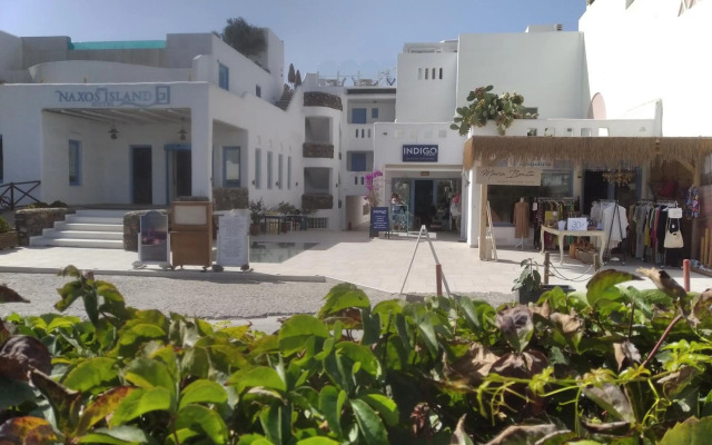 Naxos Island Hotel