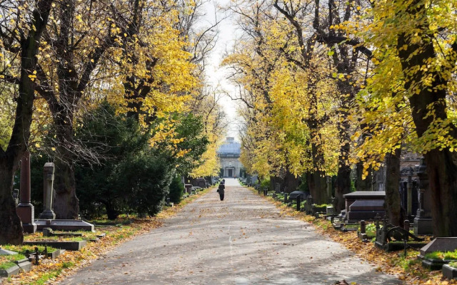 Cathcart Road IV by Onefinestay