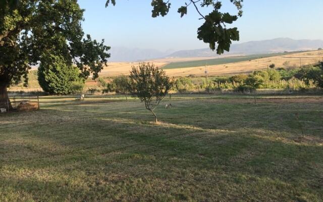 SCALI Wine LODGE