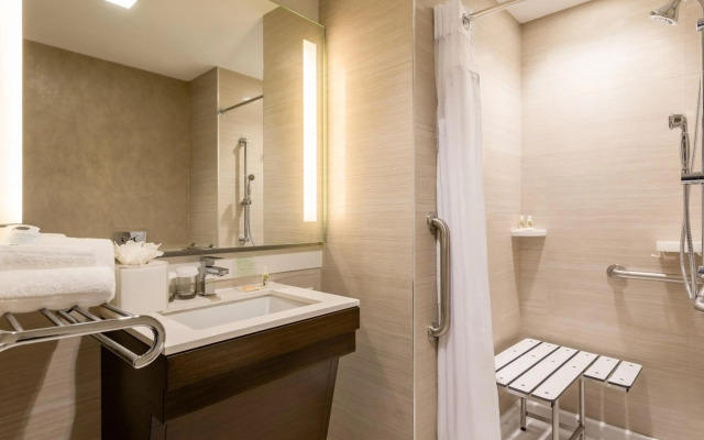 Holiday Inn Brooklyn Downtown by IHG