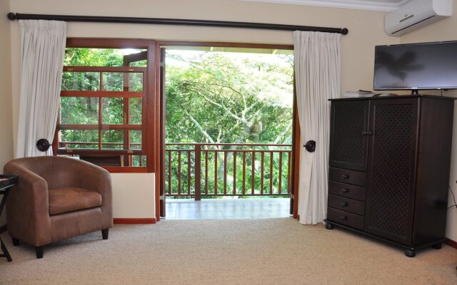 Birds of paradise B&B