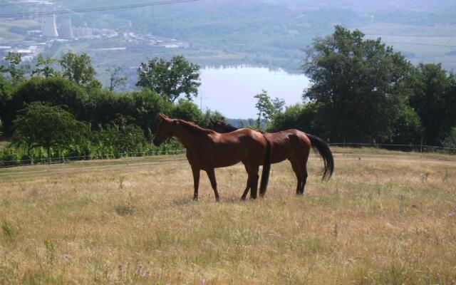 Agriturismo Podere La Fornace