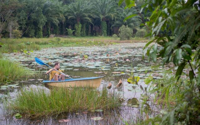 Wichai's Jungle Home Stay