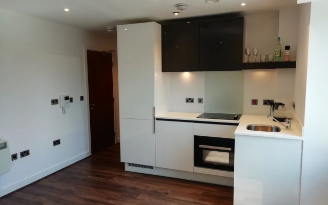 Luxury One Bedroom Apartment