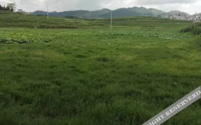 Guangnan 258 Impression Theme Hotel