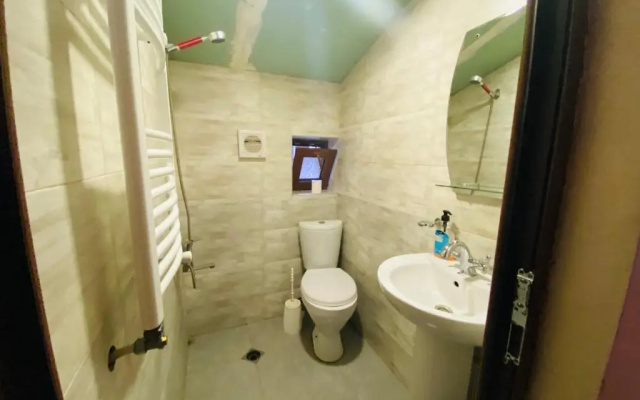 ბორჯომი საოჯახო სასტუმრო "გიომანი" Borjomi Guest House "GioMaNi" დასვენება ბორჯომში "GioMaNi"