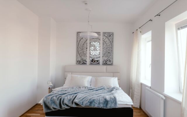 Luxury Apartments Zelny Trh