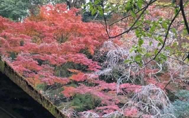 Izuya Ryokan - Vacation STAY 22369v