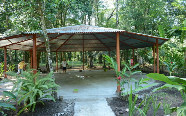 Hotel Tortuguero Jungle