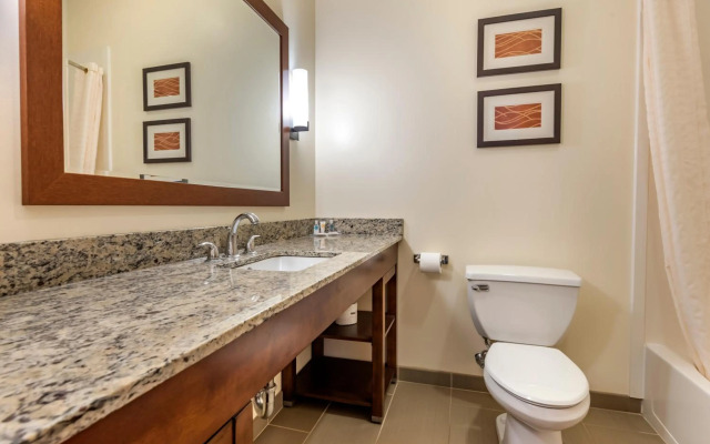 Comfort Inn Apalachin / Binghamton W Route 17