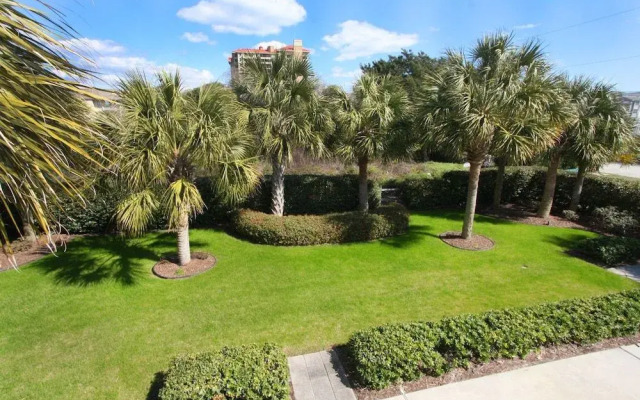 Fifty Palms by RedAwning