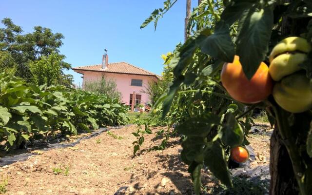 Bed and Breakfast Macchia d'Olmo