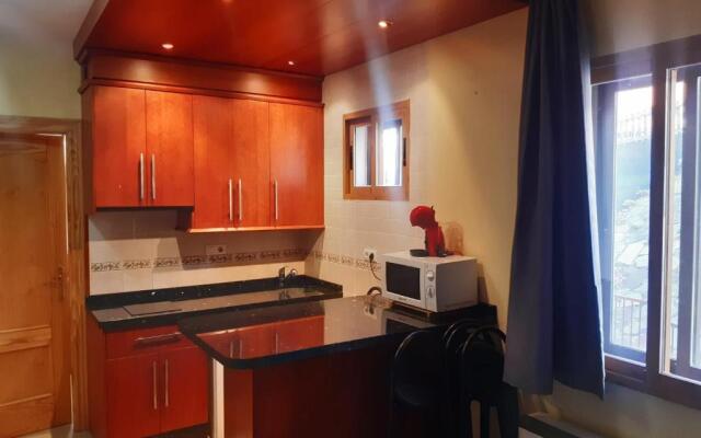 Apartamento Plaza Pradollano 2